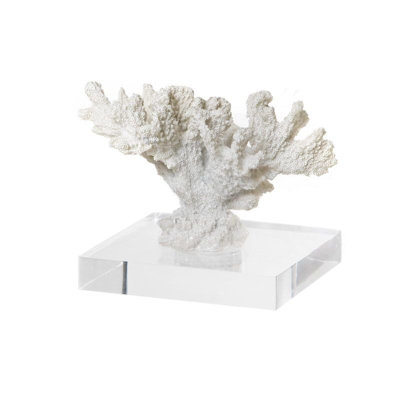 קישוט אלמוג לבן מלאכותי על בסיס שקוף 16/12 גובה 10.5 ס"מ