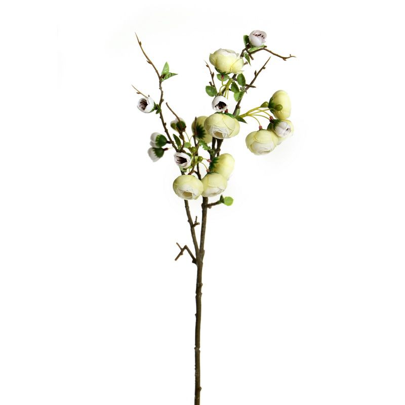 24 גבעולי ניצן ביגוניה לבן 78סמ