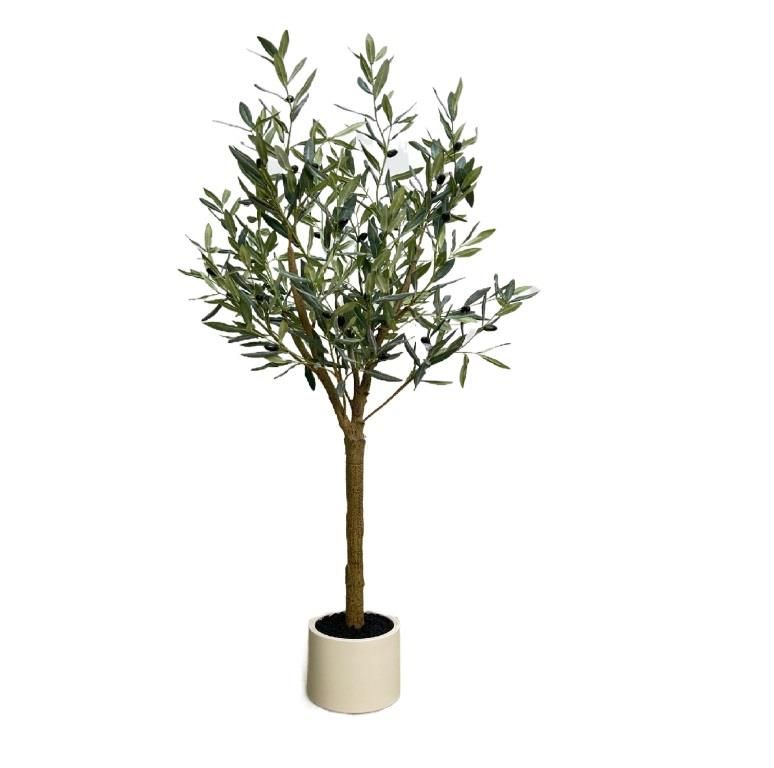 זוג עציצי עץ זית גובה 150 ס"מ עציץ לבן  פלסטיק