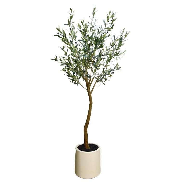 עץ זית בעציץ פלסטיק לבן גובה 210 ס"מ