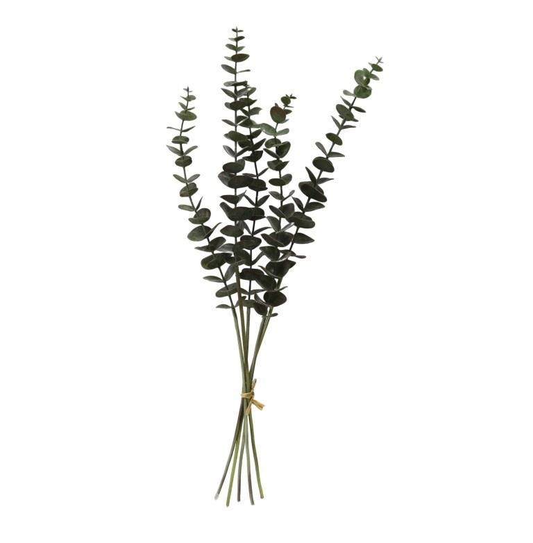 סט 24 ענפי אקליפטוס ירוק/חום 59 ס"מ