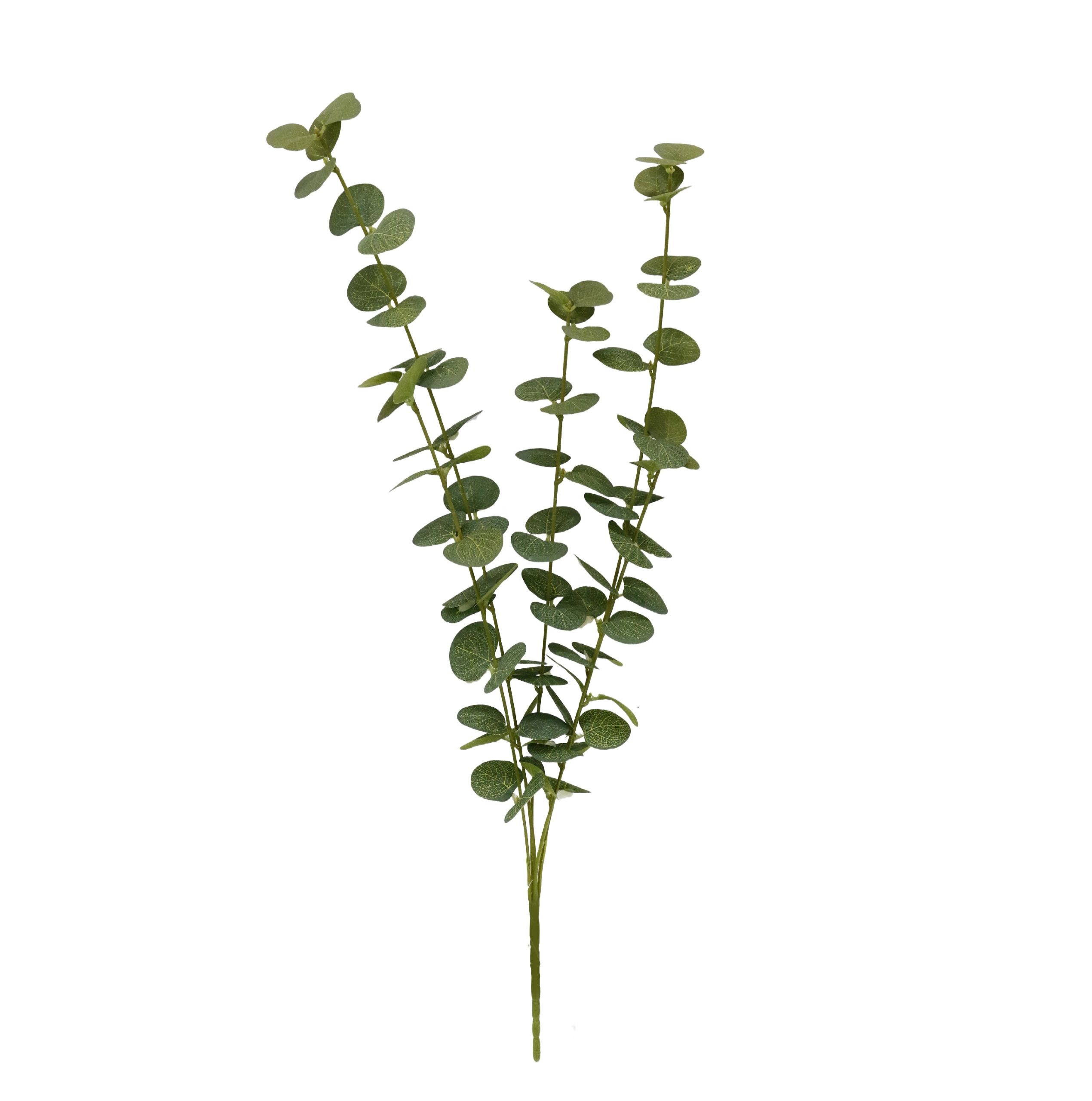 סט 24 ענפי אקליפטוס ירוק בהיר 55 ס"מ